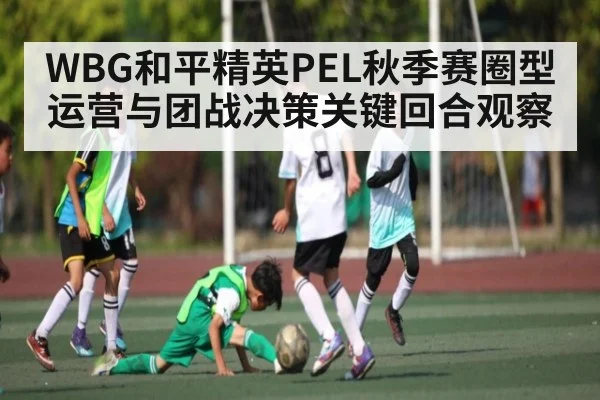 WBG和平精英PEL秋季赛圈型运营与团战决策关键回合观察（kaiyun）